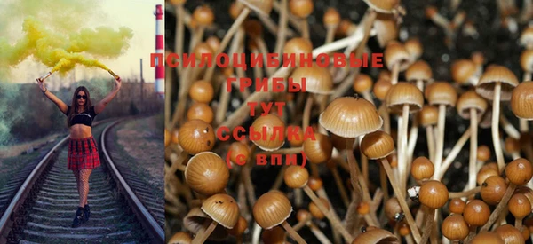 молекула духа Алексеевка