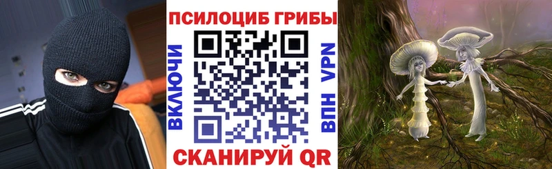 Галлюциногенные грибы Magic Shrooms  Мышкин 